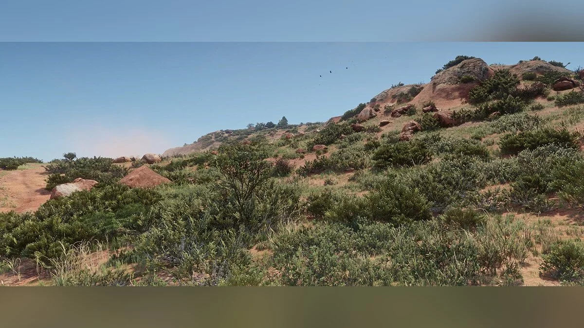 Visual Redemption / Red Dead Redemption 2