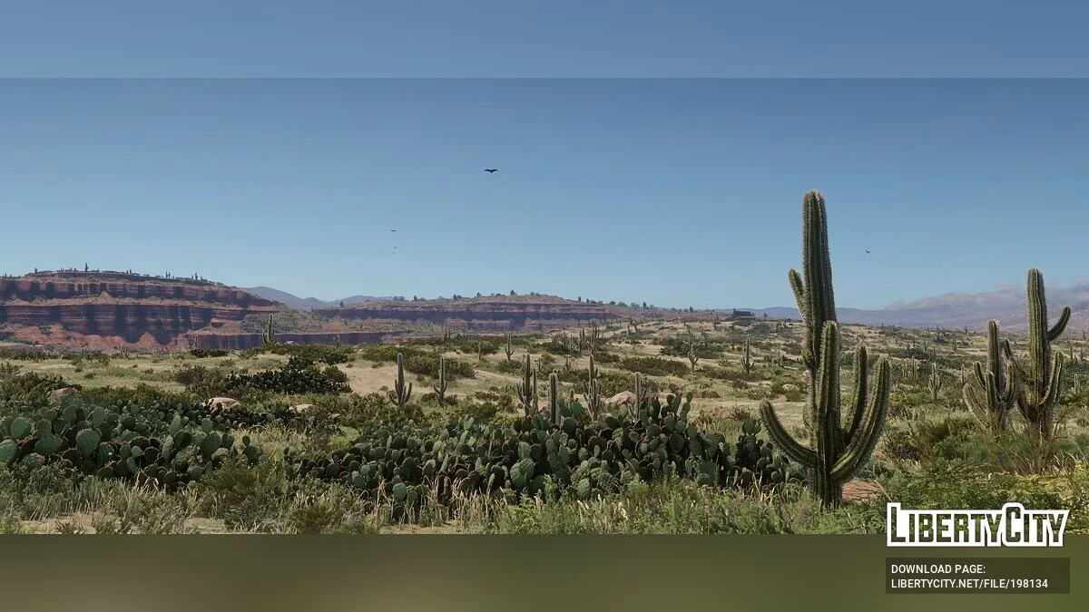 Visual Redemption / Red Dead Redemption 2